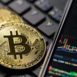 EFFECT OF CRYPTOCURRENCY VOLATILITY ON COUNTRIES